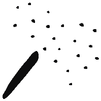 Image of the occurrence